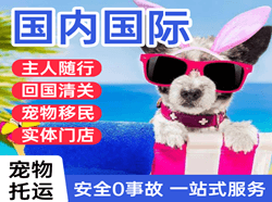 鄂伦春航空快运国际宠物托运 【国